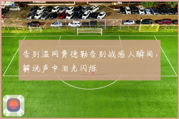 告别温网费德勒告别战感人瞬间,解说声中泪光闪烁