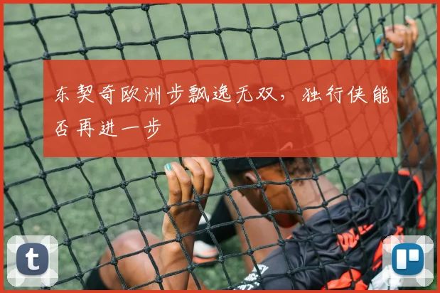 东契奇欧洲步飘逸无双,独行侠能否再进一步